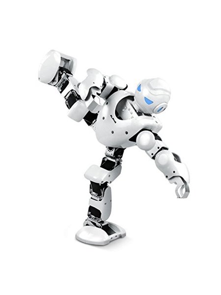 UBTECH Robot Humanoïde ALPHA 1S - Robot éducatif Et Programmable